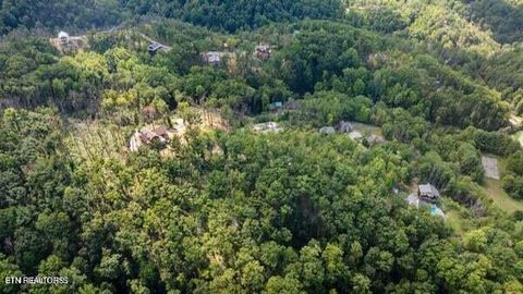 Tiny photo for 13 Villa Ridge Place, Sevierville, TN 37862 (MLS # 1332592)