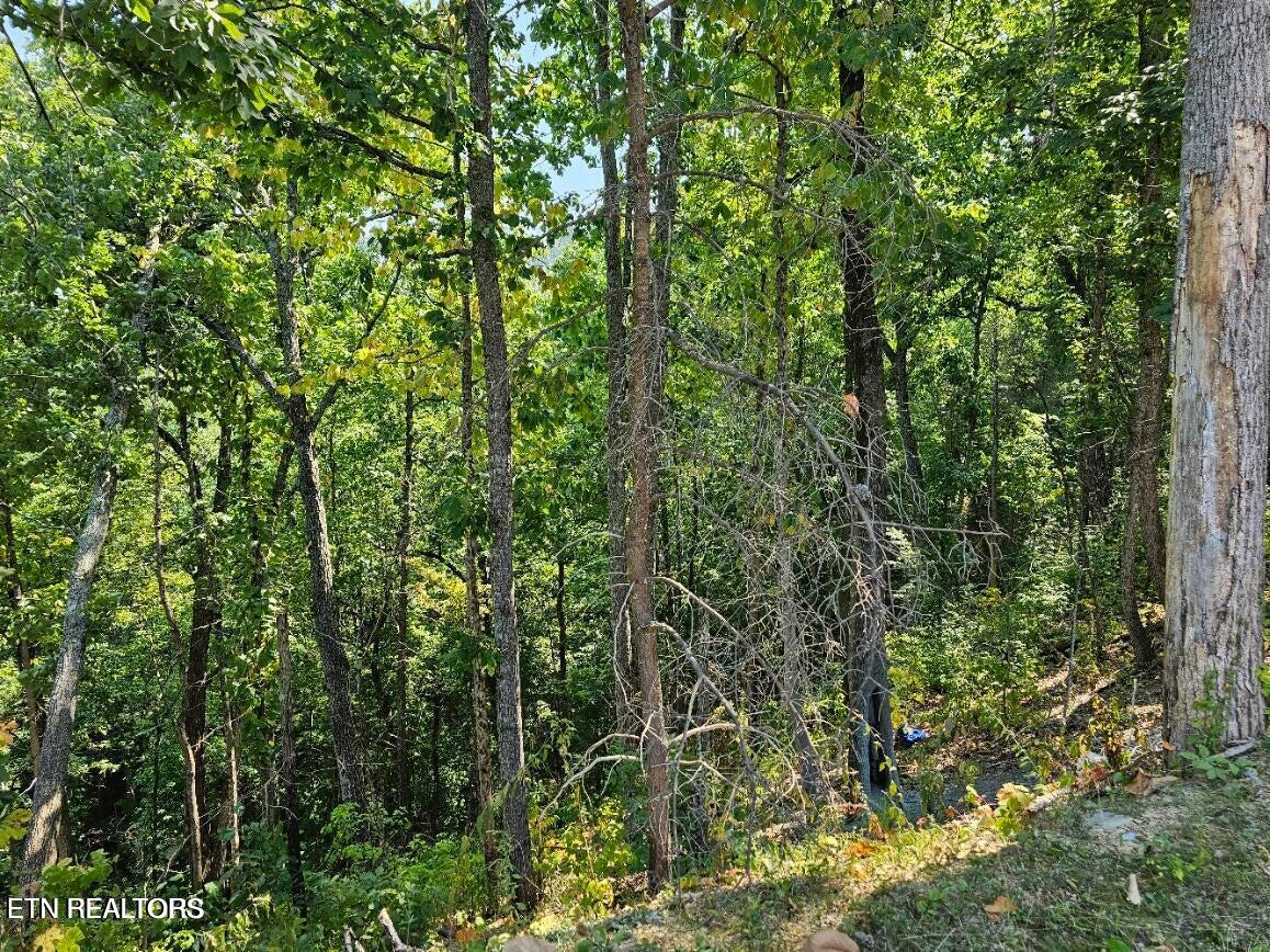 Lot 13-AR Villa Ridge Place