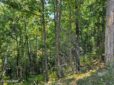 Tiny photo for 13 Villa Ridge Place, Sevierville, TN 37862 (MLS # 1332592)