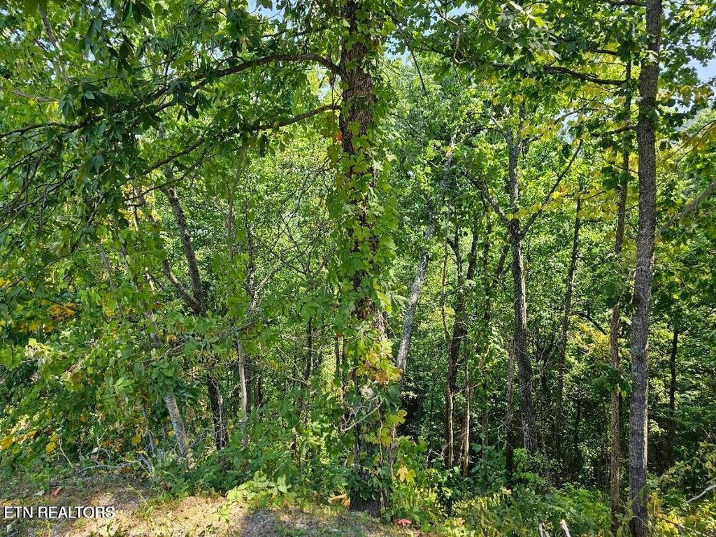 Photo of 13 Villa Ridge Place, Sevierville, TN 37862 (MLS # 1332592)