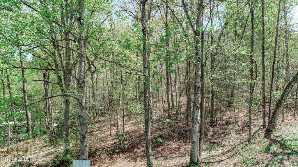 Photo of 1776 Bullard Dr Dr, Newport, TN 37821 (MLS # 1298455)