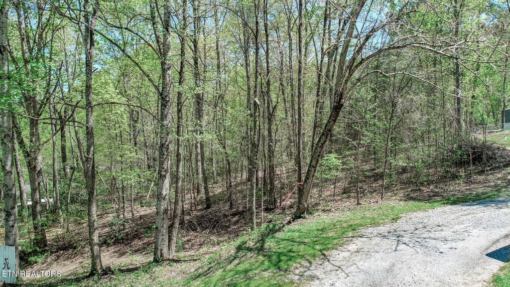 Photo of 1776 Bullard Dr Dr, Newport, TN 37821 (MLS # 1298455)