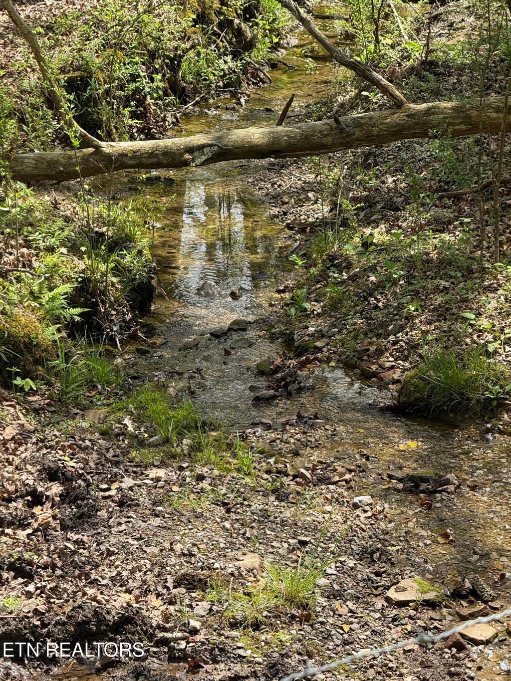 Photo of 141 Hidden Acres, Rockwood, TN 37854 (MLS # 1298619)