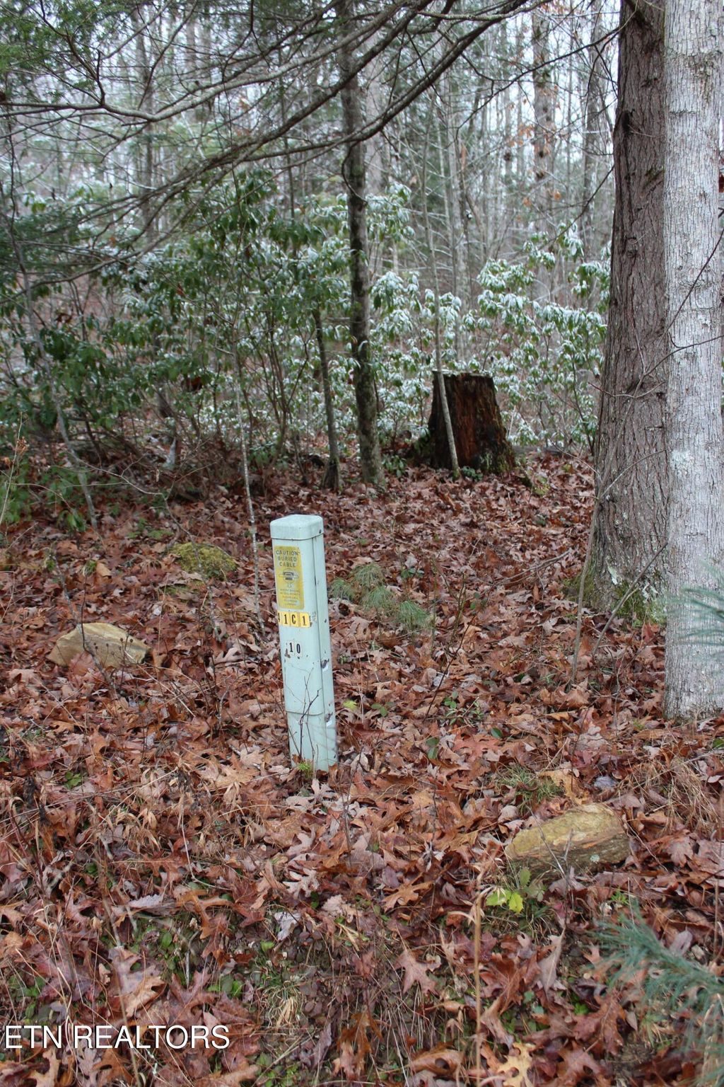 Photo of Laurel Rd, Jamestown, TN 38556 (MLS # 1323673)