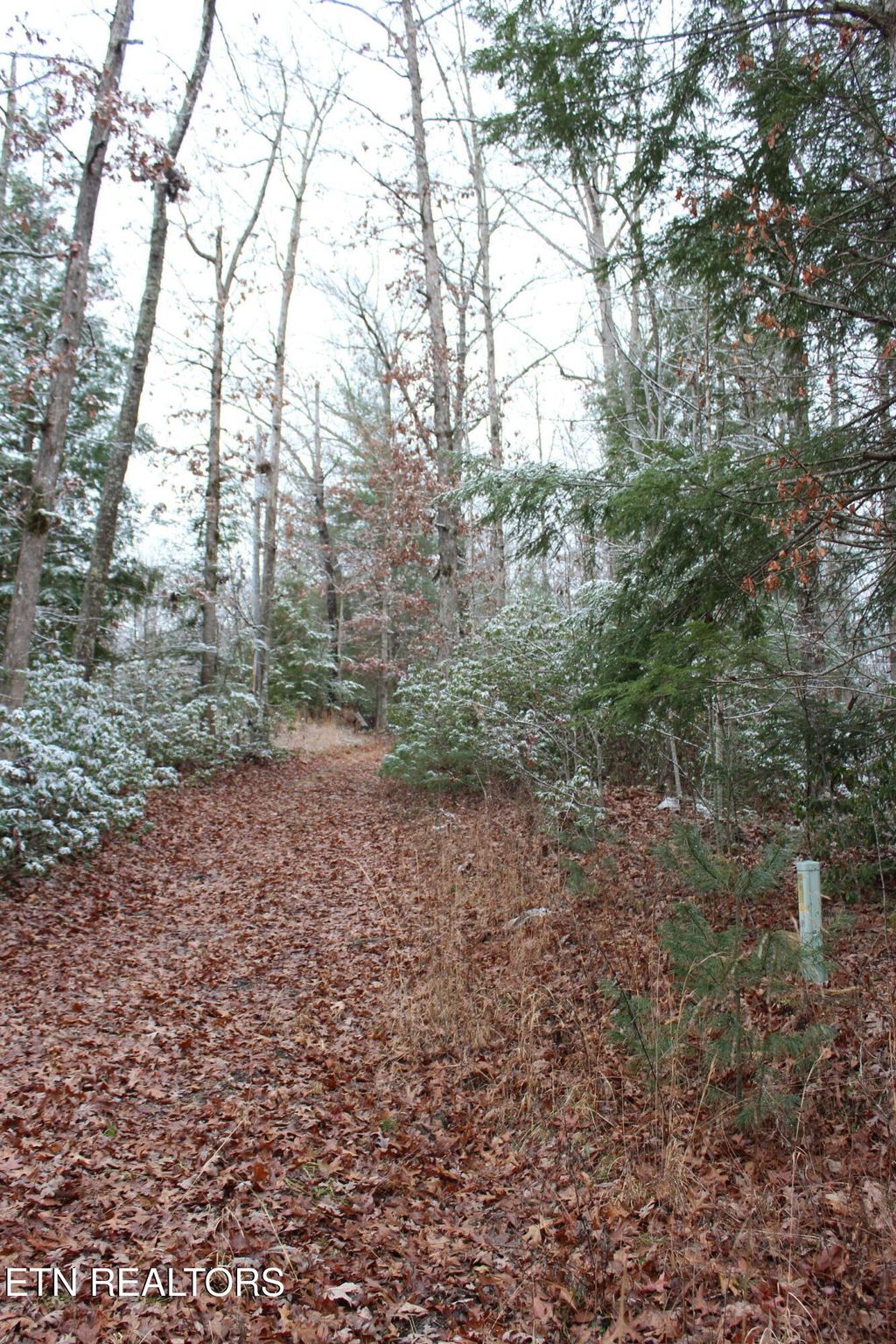 Photo of Laurel Rd, Jamestown, TN 38556 (MLS # 1323673)