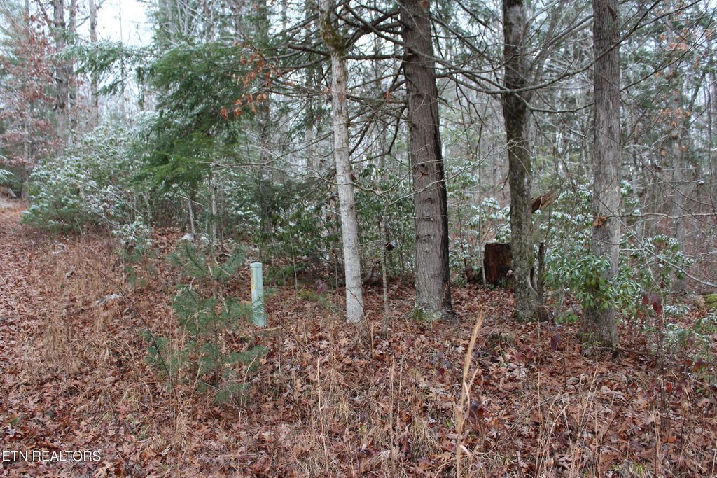 Photo of Laurel Rd, Jamestown, TN 38556 (MLS # 1323673)