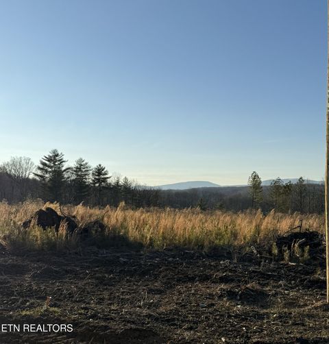 Tiny photo for Possom Trot Rd. - Tract 12, Grandview, TN 37337 (MLS # 1326753)