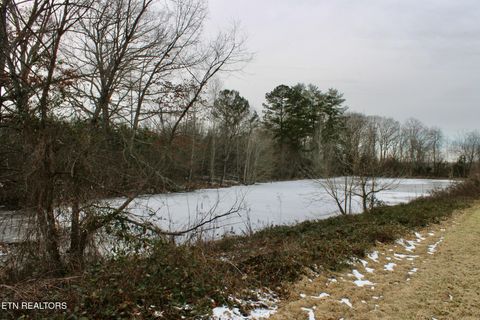Tiny photo for 6111 Nashville Hwy, Deer Lodge, TN 37726 (MLS # 1328433)