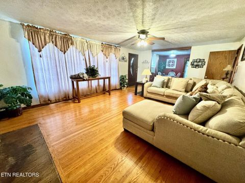 Tiny photo for 6111 Nashville Hwy, Deer Lodge, TN 37726 (MLS # 1328433)