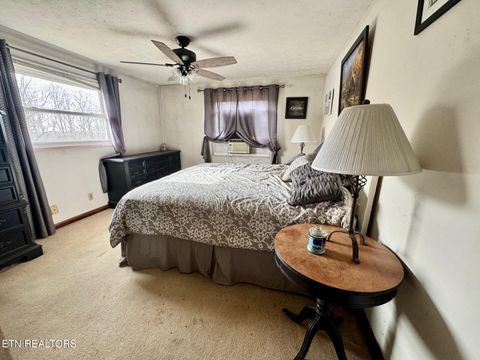 Tiny photo for 6111 Nashville Hwy, Deer Lodge, TN 37726 (MLS # 1328433)