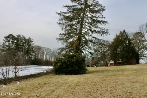 Tiny photo for 6111 Nashville Hwy, Deer Lodge, TN 37726 (MLS # 1328433)