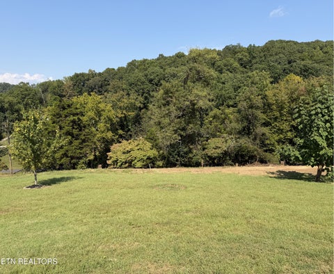 Tiny photo for 196 Pine Crest Drive, Maynardville, TN 37807 (MLS # 1356175)