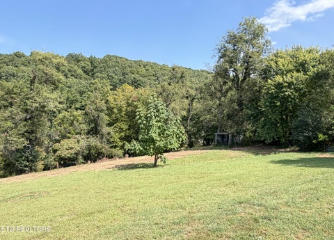 Tiny photo for 196 Pine Crest Drive, Maynardville, TN 37807 (MLS # 1356175)