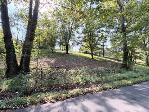 Tiny photo for 196 Pine Crest Drive, Maynardville, TN 37807 (MLS # 1356175)