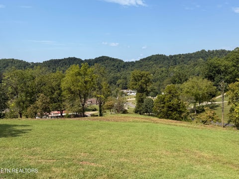 Tiny photo for 196 Pine Crest Drive, Maynardville, TN 37807 (MLS # 1356175)