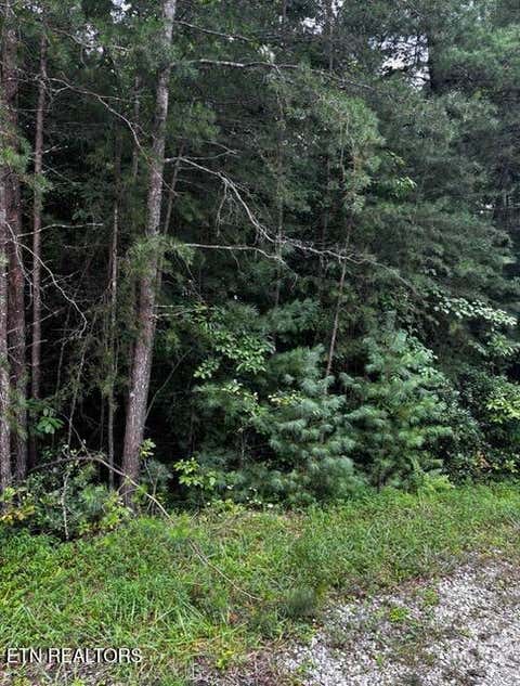 Photo of 15 Minetta Court, Crossville, TN 38558 (MLS # 1350747)