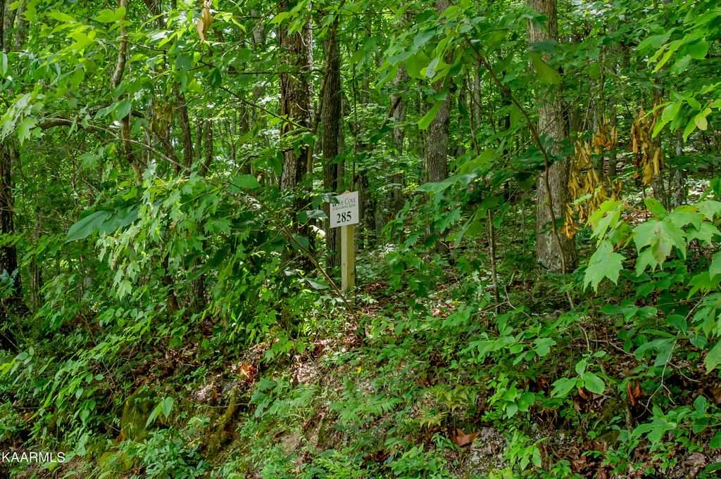 Photo of 4521 Huffine Rd, Loudon, TN 37774 (MLS # 1332001)