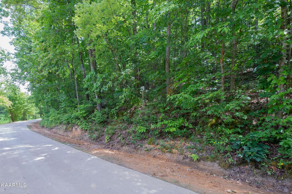 Photo of 4521 Huffine Rd, Loudon, TN 37774 (MLS # 1332001)