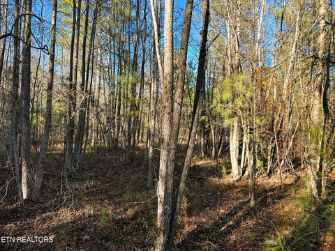 Tiny photo for 5 Charles Rd, Decatur, TN 37322 (MLS # 1333622)