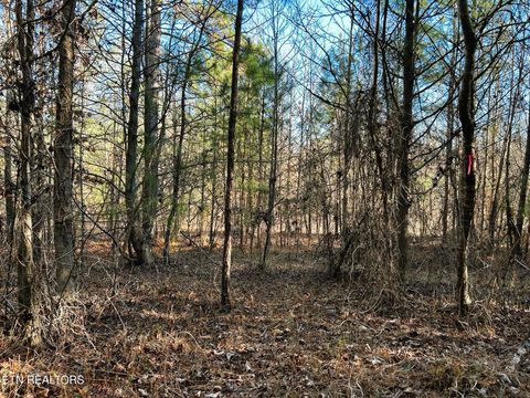 Tiny photo for 5 Charles Rd, Decatur, TN 37322 (MLS # 1333622)