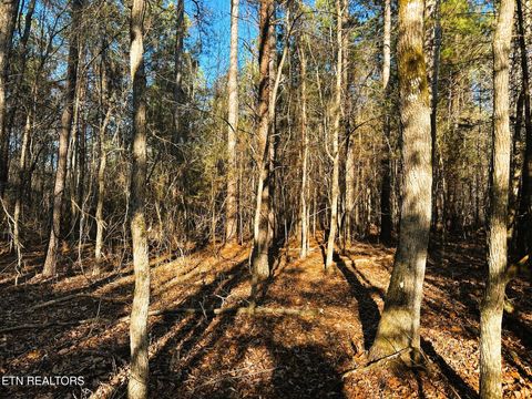 Tiny photo for 5 Charles Rd, Decatur, TN 37322 (MLS # 1333622)