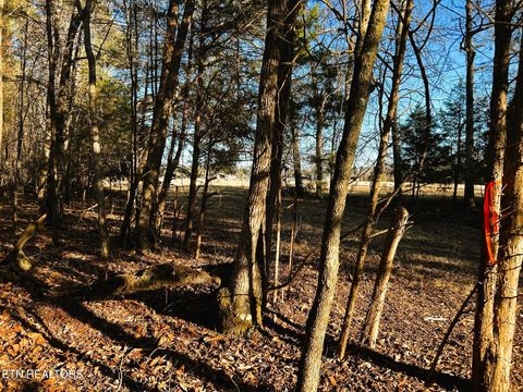 Tiny photo for 5 Charles Rd, Decatur, TN 37322 (MLS # 1333622)