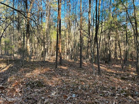 Tiny photo for 5 Charles Rd, Decatur, TN 37322 (MLS # 1333622)