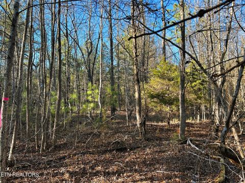 Tiny photo for 5 Charles Rd, Decatur, TN 37322 (MLS # 1333622)