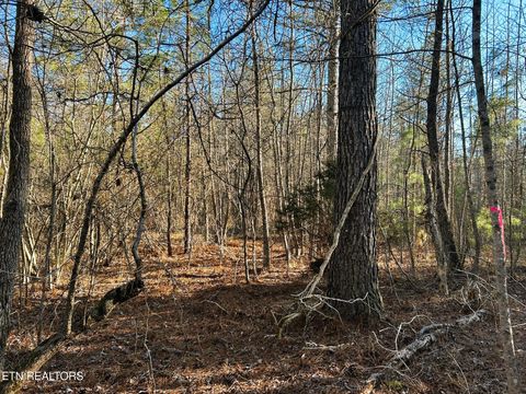 Tiny photo for 5 Charles Rd, Decatur, TN 37322 (MLS # 1333622)