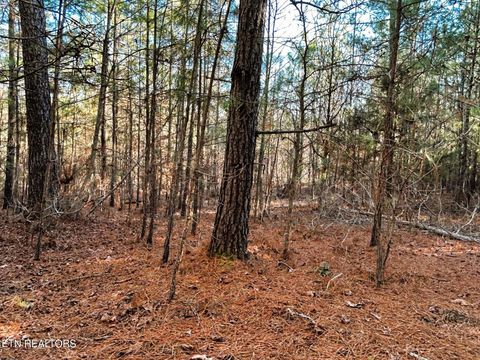 Tiny photo for 5 Charles Rd, Decatur, TN 37322 (MLS # 1333622)