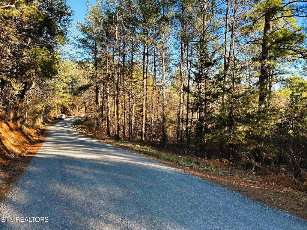 Photo of 5 Charles Rd, Decatur, TN 37322 (MLS # 1333622)