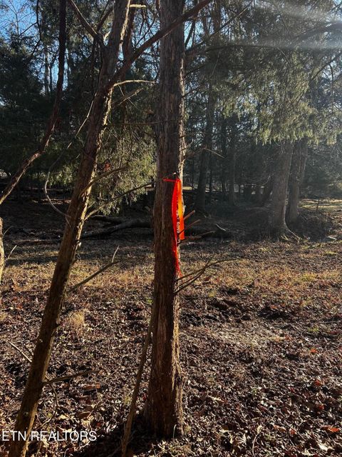 Tiny photo for 5 Charles Rd, Decatur, TN 37322 (MLS # 1333622)