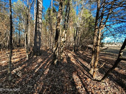 Tiny photo for 5 Charles Rd, Decatur, TN 37322 (MLS # 1333622)