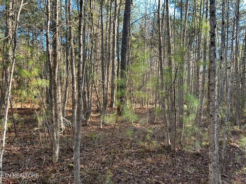 Tiny photo for 5 Charles Rd, Decatur, TN 37322 (MLS # 1333622)