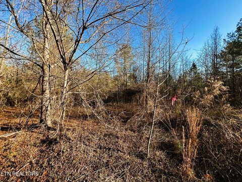 Tiny photo for 5 Charles Rd, Decatur, TN 37322 (MLS # 1333622)