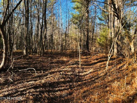 Tiny photo for 5 Charles Rd, Decatur, TN 37322 (MLS # 1333622)