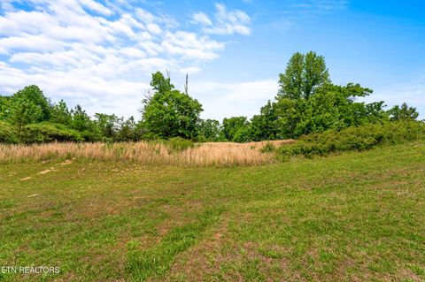Tiny photo for 147 Highland Reserve Way, Kingston, TN 37763 (MLS # 1339189)