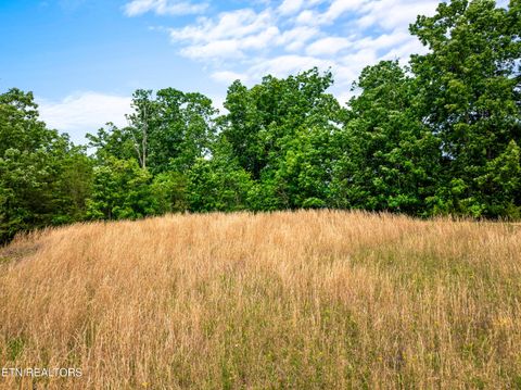 Tiny photo for 147 Highland Reserve Way, Kingston, TN 37763 (MLS # 1339189)