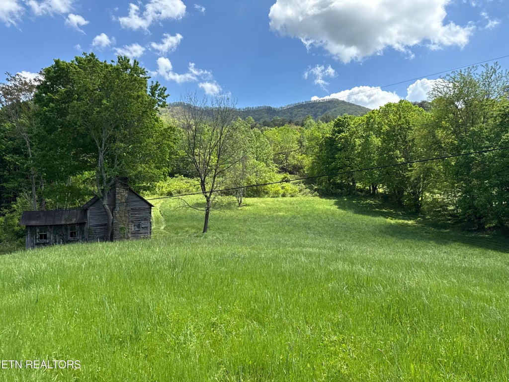 Photo of 3310 Wild Turkey Way, Parrottsville, TN 37843 (MLS # 1303308)