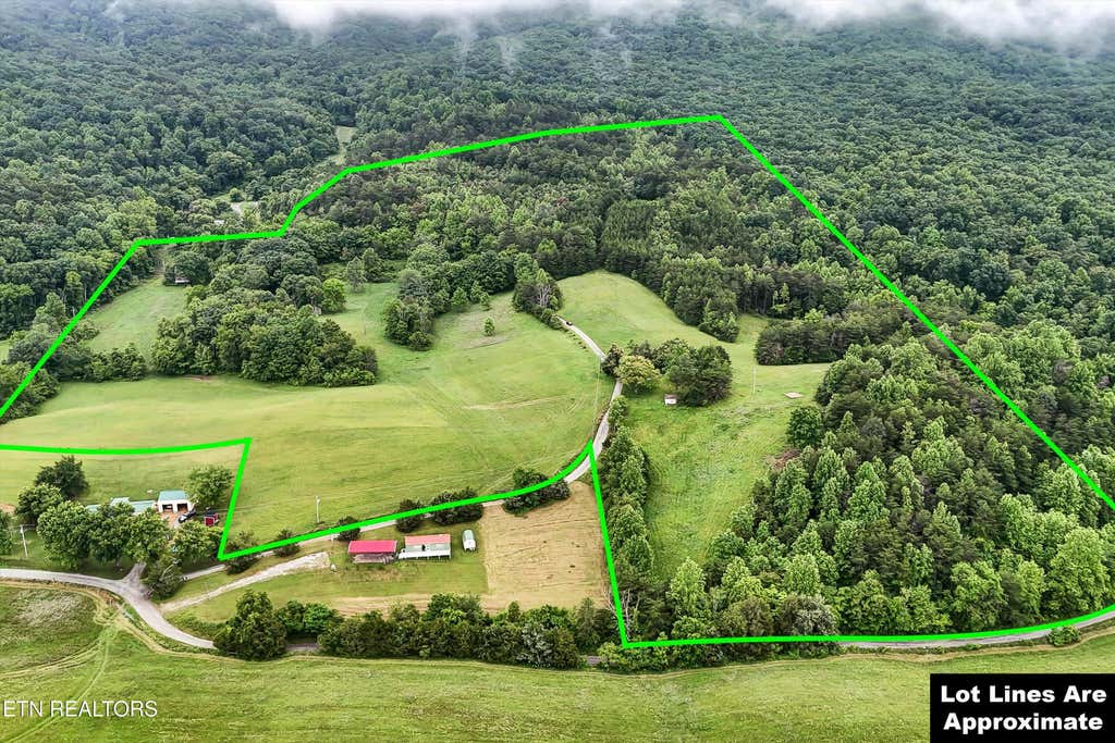 Photo of 3310 Wild Turkey Way, Parrottsville, TN 37843 (MLS # 1303308)