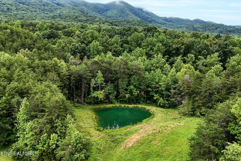 Photo of 3310 Wild Turkey Way, Parrottsville, TN 37843 (MLS # 1303308)