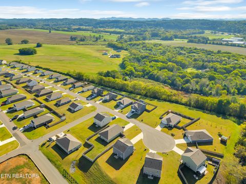 Tiny photo for 59 Aaron Court, Niota, TN 37826 (MLS # 1317712)