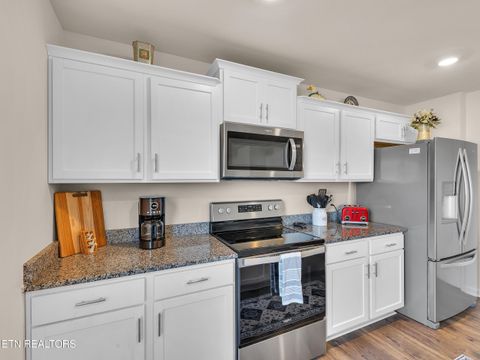 Tiny photo for 59 Aaron Court, Niota, TN 37826 (MLS # 1317712)
