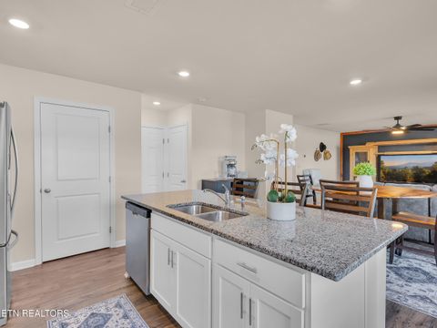 Tiny photo for 59 Aaron Court, Niota, TN 37826 (MLS # 1317712)