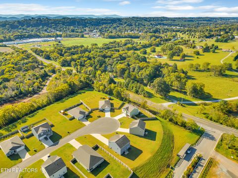 Tiny photo for 59 Aaron Court, Niota, TN 37826 (MLS # 1317712)