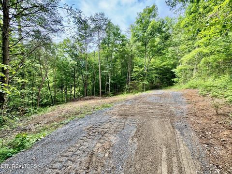 Tiny photo for 1140 River Divide Rd Rd, Sevierville, TN 37876 (MLS # 1325658)