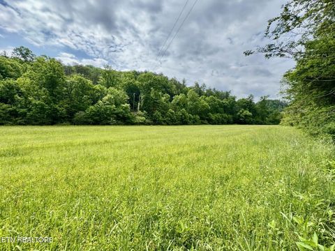 Tiny photo for 1140 River Divide Rd Rd, Sevierville, TN 37876 (MLS # 1325658)