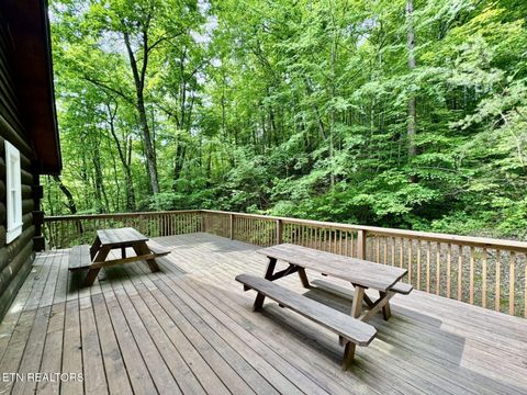Tiny photo for 1140 River Divide Rd Rd, Sevierville, TN 37876 (MLS # 1325658)