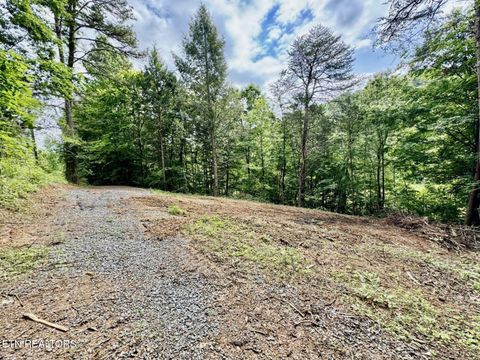 Tiny photo for 1140 River Divide Rd Rd, Sevierville, TN 37876 (MLS # 1325658)