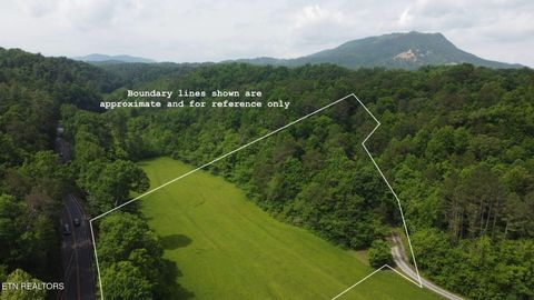 Tiny photo for 1140 River Divide Rd Rd, Sevierville, TN 37876 (MLS # 1325658)